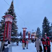 The Lapland experience for adults