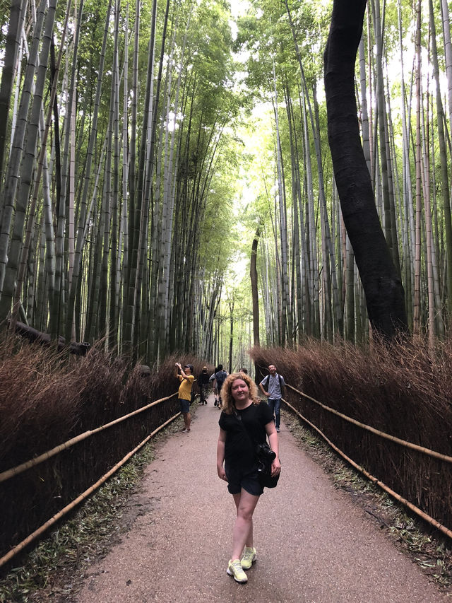 KYOTO: 5 ICONIC HIGHLIGHTS THAT DEFINE JAPAN