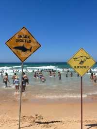 Best beaches in Sydney