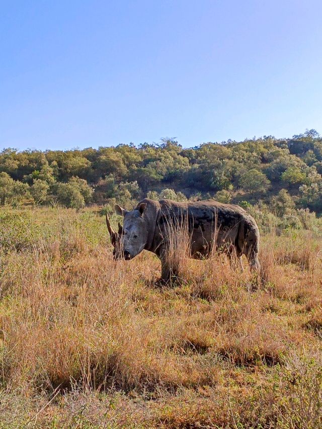Lake Nakuru National Park, Kenya