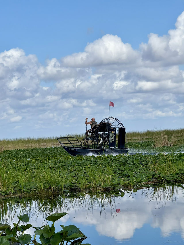 Our Miami Everglades Adventure! 🌿🐊