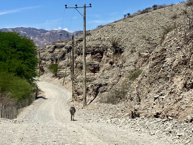 The Scenic Loop Adventure ⛰️🌄