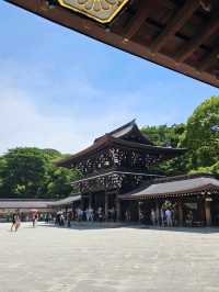 ⛩️ Meiji Jingu Shrine: Early Morning or Afternoon Visit? 🌅🌇