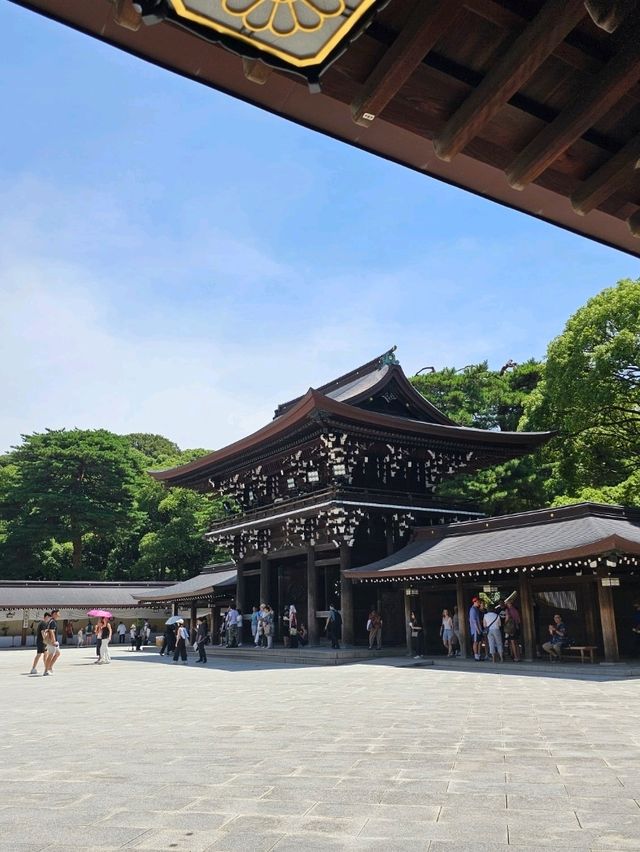⛩️ Meiji Jingu Shrine: Early Morning or Afternoon Visit? 🌅🌇