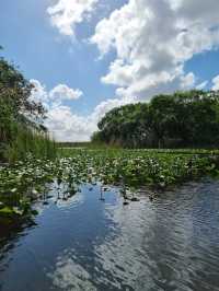 Huge national park near Miami: the Everglades 