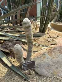Trip to de Hortus 