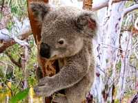 Memorable Sydney CBD outings