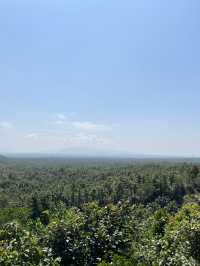 Phachor Day Trip from Chiang Mai – Under $100 