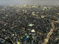 Tokyo itinerary for the best blend of city views, fresh eats, and chill urban energy