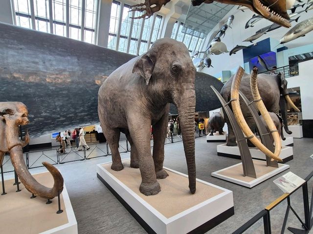 Top Attractions at the Natural History Museum, London 🦕