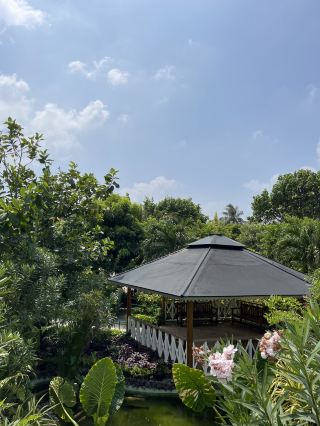 🌿 Hulhumalé Park – Green Oasis in the Maldives 🌴✨