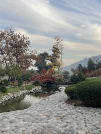 🌸 Serenity in the Sky: The Japanese Garden on Cerro San Cristóbal 🗻🌿