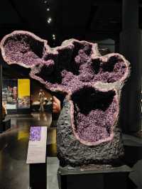 Stone as Storyteller — A Review of the Earth Sciences Gallery at the National Museum of Scotland