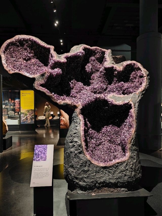 Stone as Storyteller — A Review of the Earth Sciences Gallery at the National Museum of Scotland