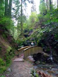 A magical walk in Puck's Glen, Dunoon