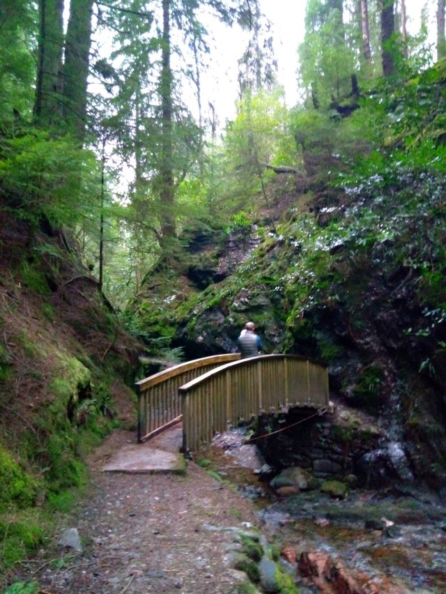 A magical walk in Puck's Glen, Dunoon