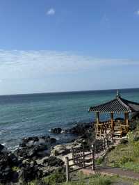 Jeju’s Hidden Gem: Chill Vibes on Aewol Coast Road 🌊🦀