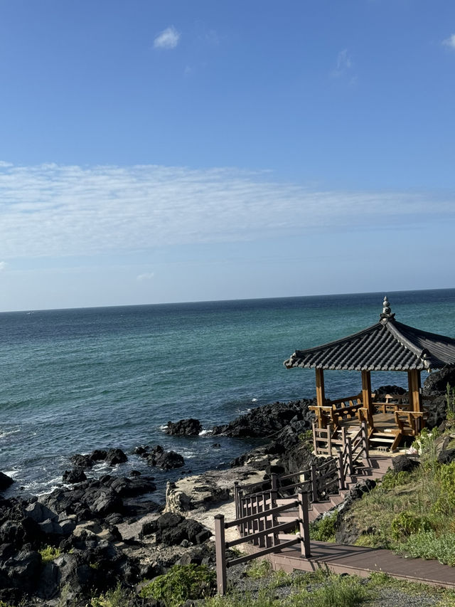 Jeju’s Hidden Gem: Chill Vibes on Aewol Coast Road 🌊🦀