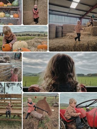 Pumpkin picking at Newmill Pumpkins