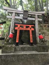 Fushimi Inari: Magical Foxes and Thousands of Tori