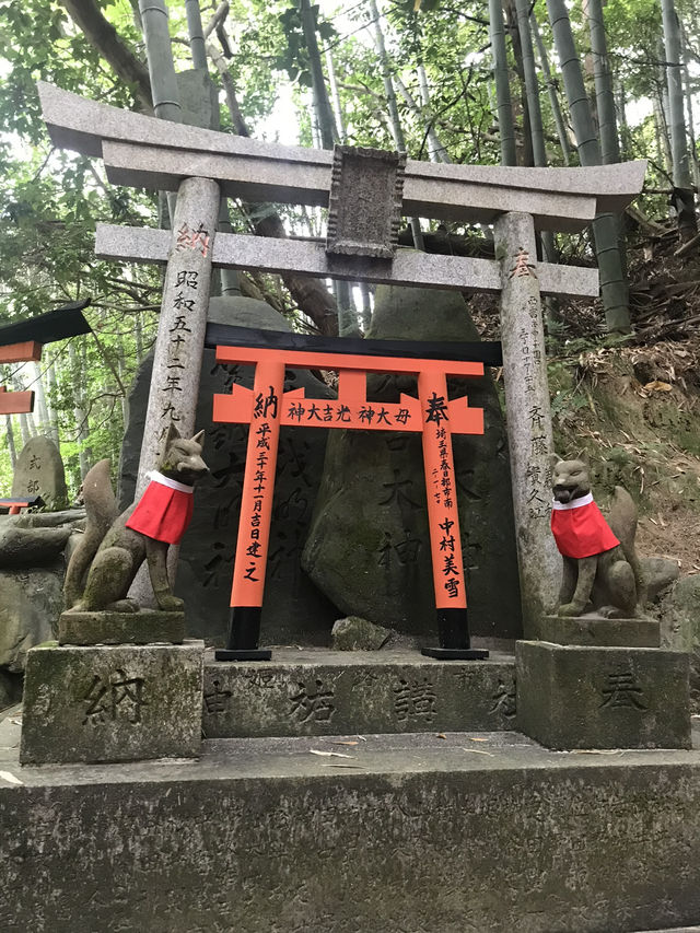Fushimi Inari: Magical Foxes and Thousands of Tori