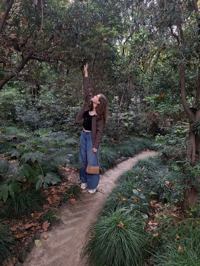 Красивые локации для фото в Шанхае (часть 2) Красивые локации для фото в Шанхае (часть 2)