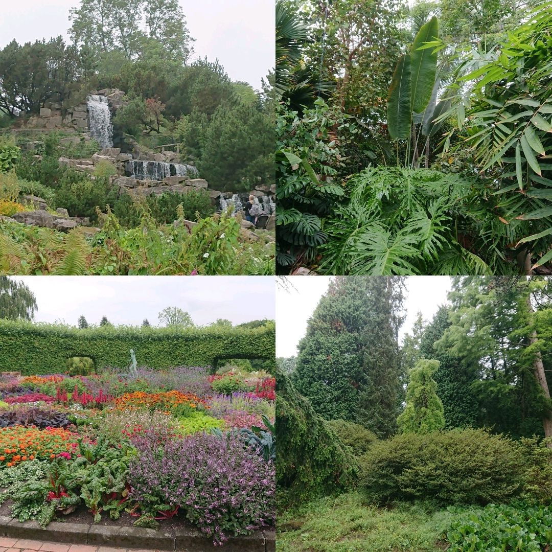 Essen in Germany, gorgeous botanical garden