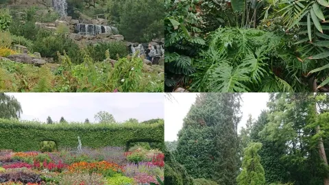 ドイツの食事、美しい植物園 — traveler post in エッセン