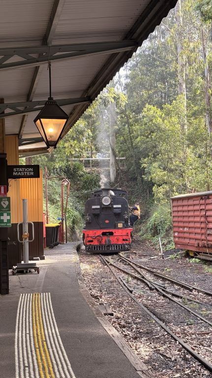 A Relaxing Day Trip to Puffing Billy Railway and Yarra Valley with Bilingual Guidance