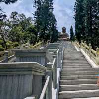 268 steps to beautiful views