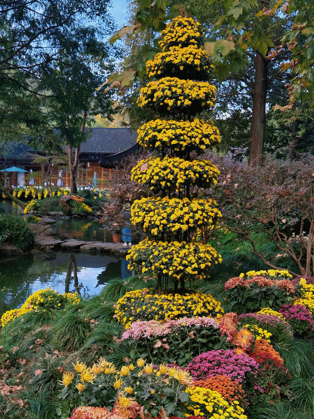 秋日的莫內花園🫧植物園菊花展2023最新攻略