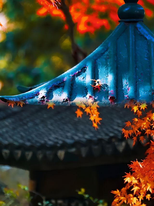 不是日本,真的真的是上海!! 不是日本,真的真的是上海!!