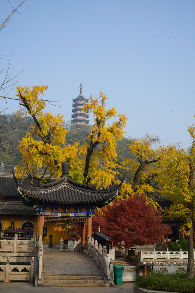 焦山，以山水天成，古樸幽雅聞名於世