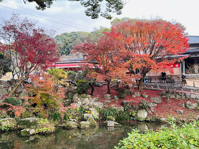 秀氣的太宰府紅葉