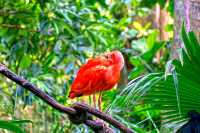 紐約中央公園：繁華城市之息與野生動物的樂園