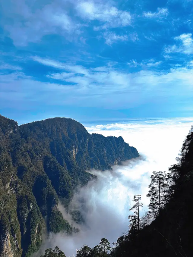 Just captured the sea of clouds and the golden peak~ Sharing my Emei Mountain travel guide