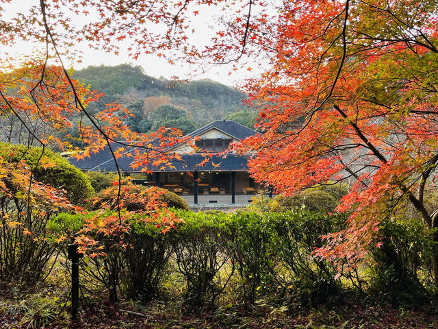 武雄溫泉之樂園