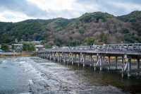 迷失在京都與奈良：嵐山、東大寺與奈良公園