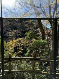箱根玻璃之森美術館，這裡真的像一個童話世界