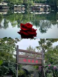 成都——瑪歌莊園