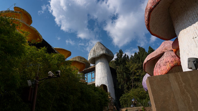兴義蘑菇野奢酒店