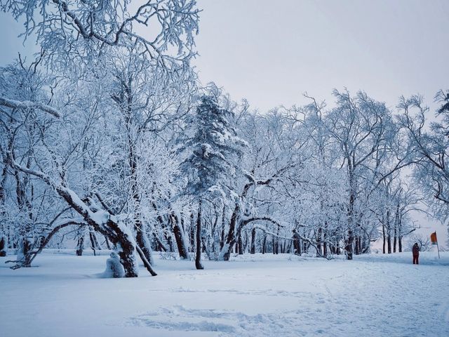 牡丹江|大禿頂子山｜闖進童話世界裡的林海雪原