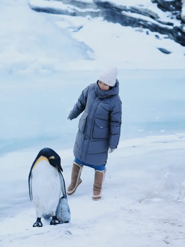 Beijing Winter | Hiking to the small polar ice waterfall in the suburbs of Beijing