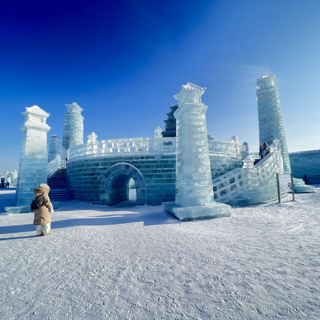 Harbin snow ❄️ & ice 🧊 world 🌍 