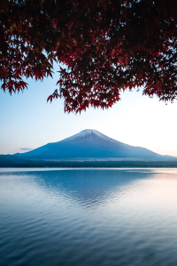 壮麗な富士山を探索