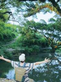 廈門1小時直達漳州版《奇幻森林》！