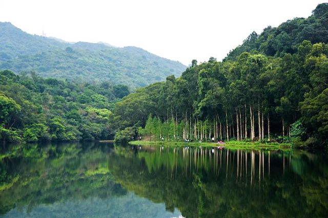 流水響、鶴藪水塘