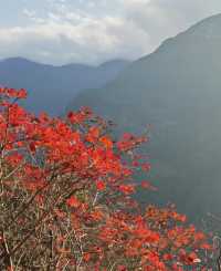 重慶巫山小三峽—巫山紅葉