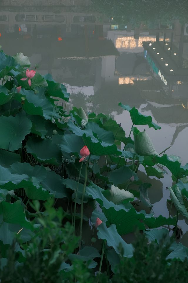 上海City Walk七寶老街值得去逛逛嗎