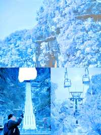 春節想看這樣的張家界，聽我10句勸!